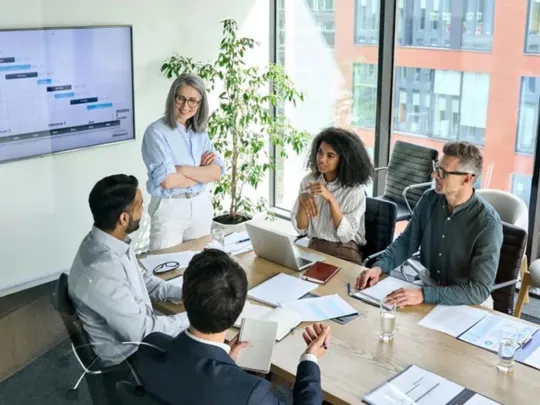 Project Management Consultants